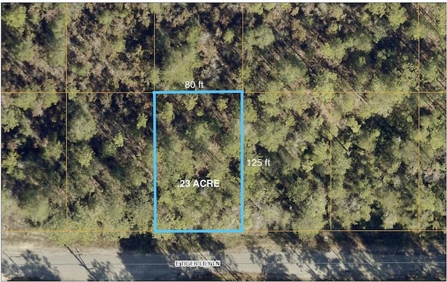 LOT32 E Tiger Lily Ln, Defuniak Springs FL, 32433 land for sale