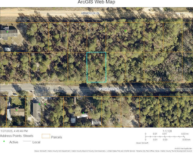 Listing photo 2 for LOT32 E Tiger Lily Ln, Defuniak Springs FL 32433