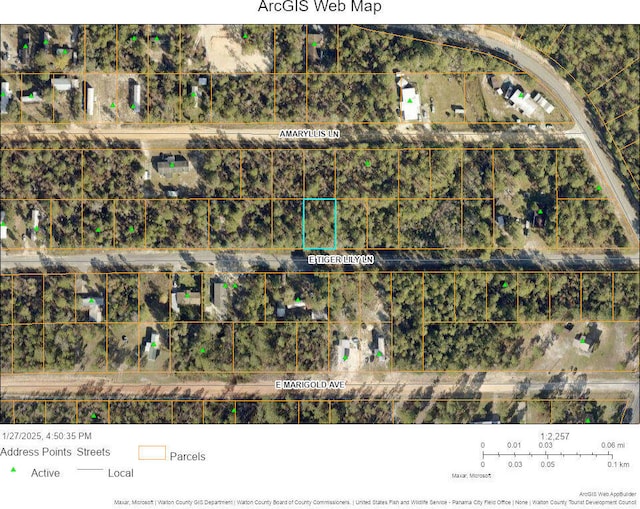 Listing photo 3 for LOT32 E Tiger Lily Ln, Defuniak Springs FL 32433