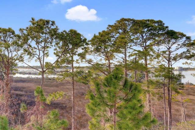 view of nature featuring a water view