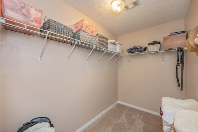 spacious closet with carpet floors