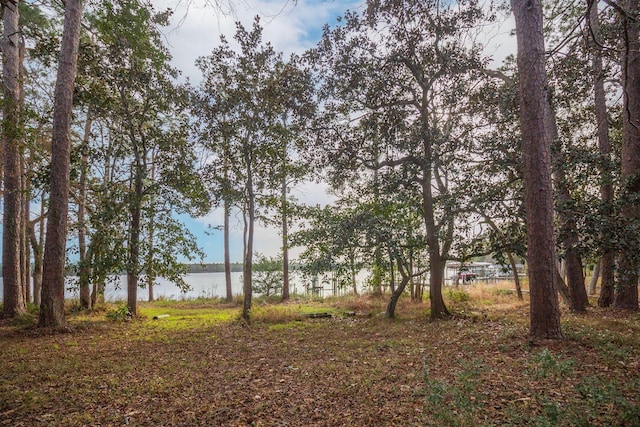 view of landscape featuring a water view