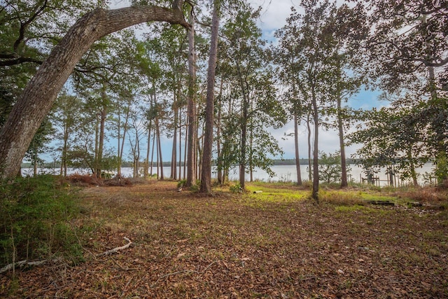 view of yard with a water view