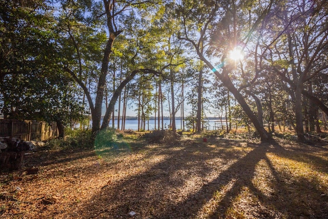 view of yard featuring a water view