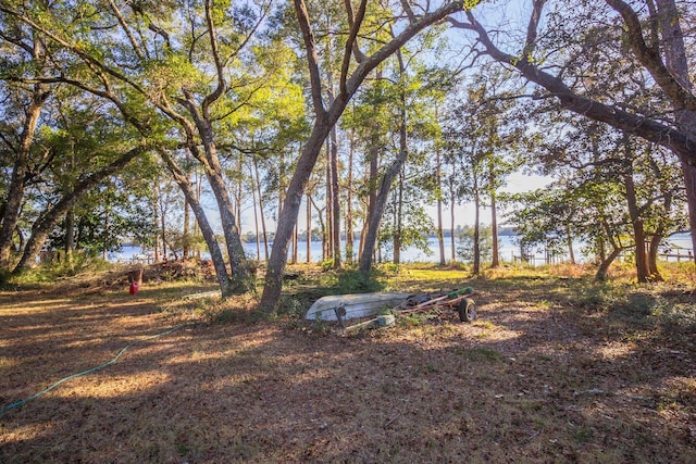 view of yard featuring a water view