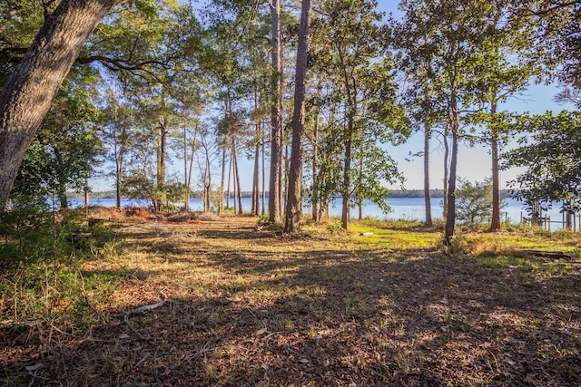 view of yard with a water view