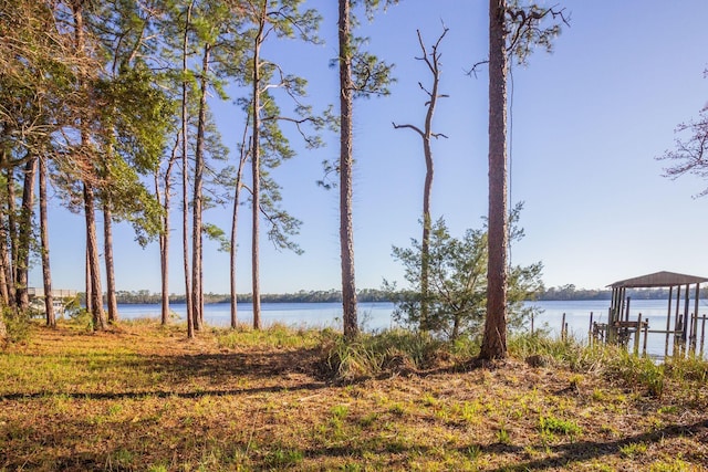 property view of water