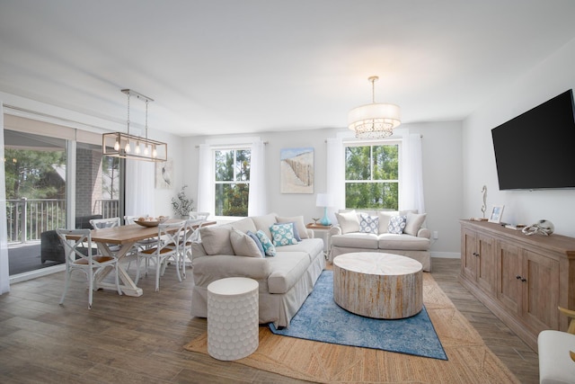 living room featuring hardwood / wood-style floors, a notable chandelier, and plenty of natural light