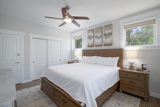 bedroom with ceiling fan, multiple windows, wood-type flooring, and a closet