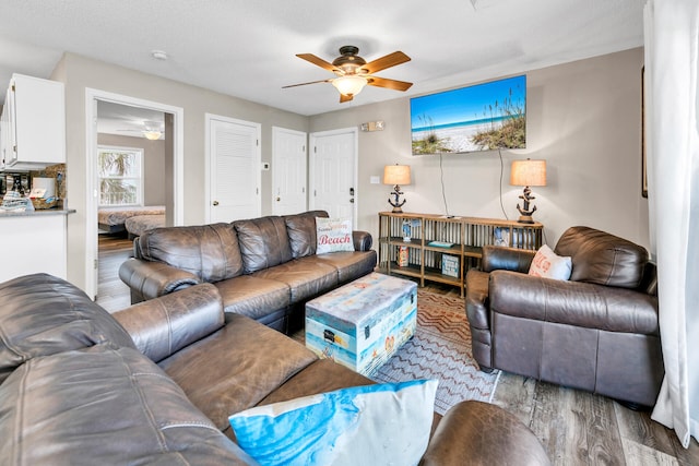 living room featuring ceiling fan and light hardwood / wood-style flooring