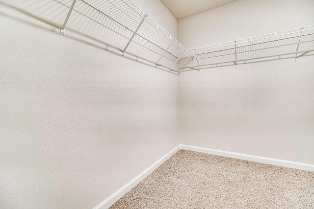 5547 Hebron Rd, Milton, FL 32583 - photo 20