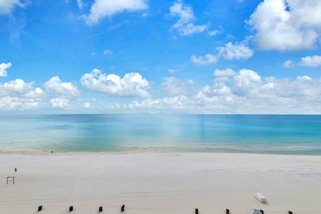 water view featuring a beach view