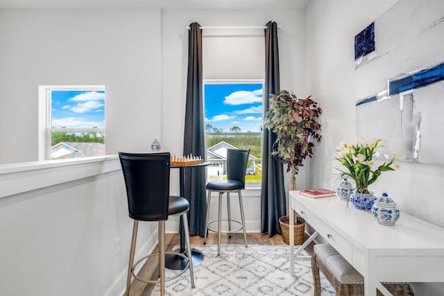 dining area featuring light hardwood / wood-style flooring and plenty of natural light