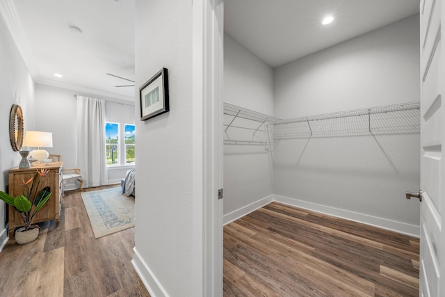 walk in closet with hardwood / wood-style flooring