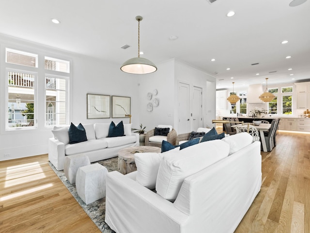 living room featuring ornamental molding and light wood-type flooring