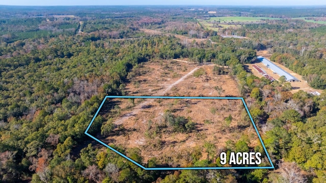 Listing photo 3 for 9ACRES Cook Rd, Westville FL 32464