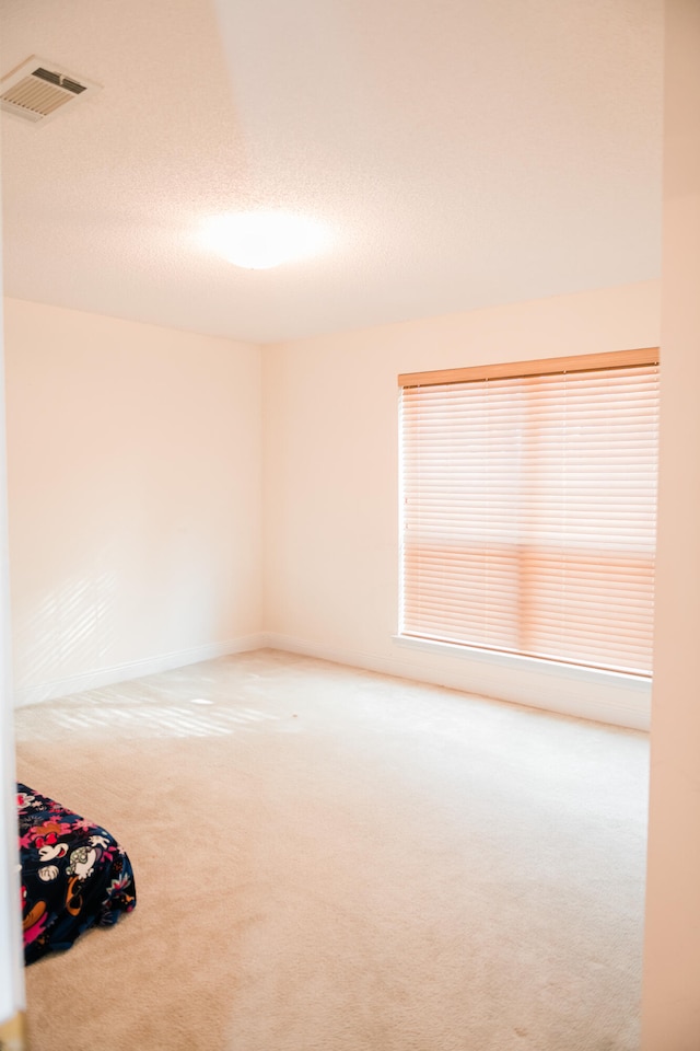 unfurnished room featuring carpet and a textured ceiling