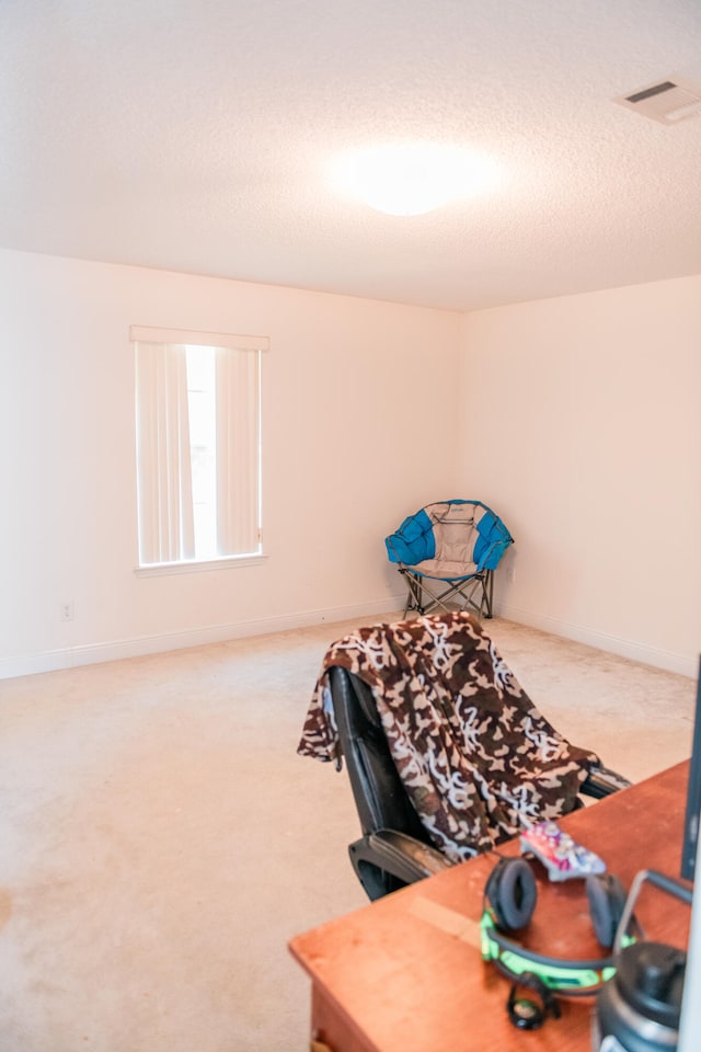 interior space with carpet and a textured ceiling