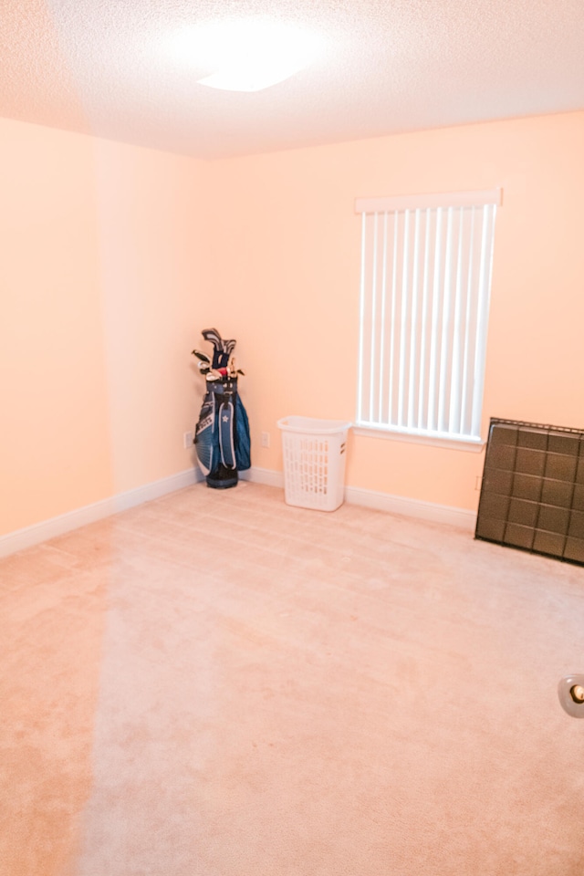 interior space featuring carpet flooring and a textured ceiling