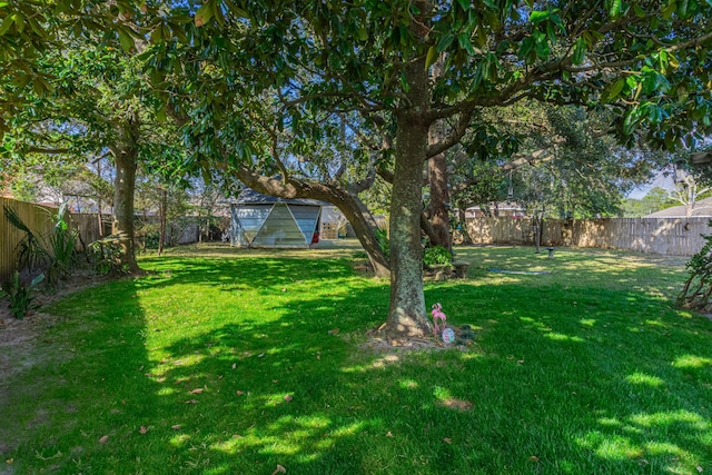 view of yard featuring a shed