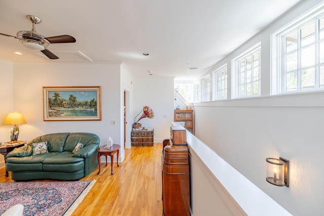 living room with ceiling fan and light hardwood / wood-style floors