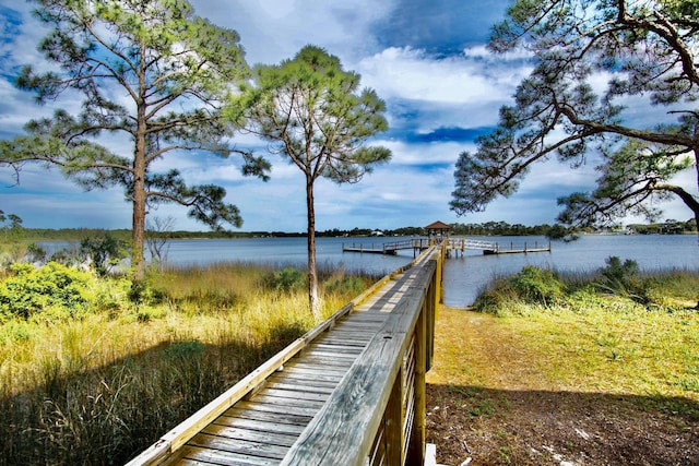 dock area with a water view