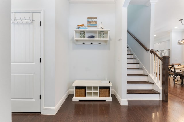 mudroom featuring dark hardwood / wood-style flooring and crown molding