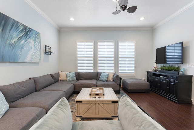 living room with dark wood-type flooring, ceiling fan, and ornamental molding