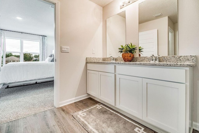 bathroom with hardwood / wood-style flooring and vanity