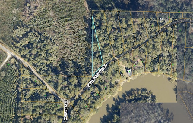 00 Cedar Log Lake Rd, Ponce De Leon FL, 32455 land for sale