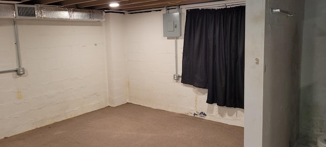 basement with electric panel