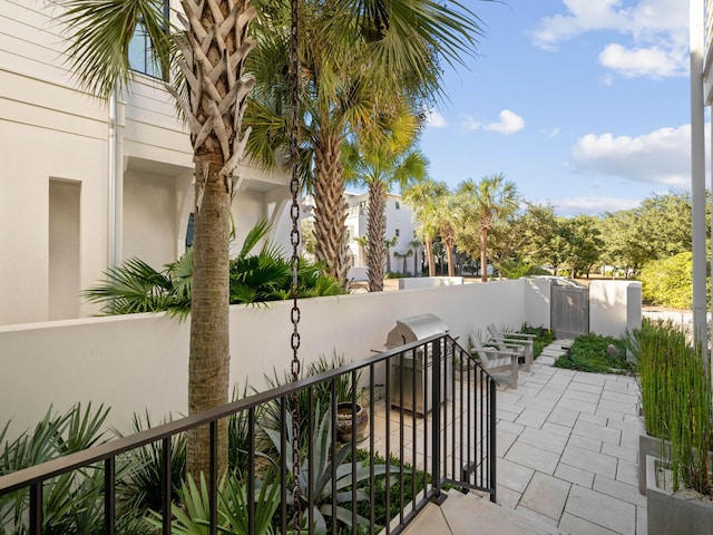 view of patio / terrace with grilling area