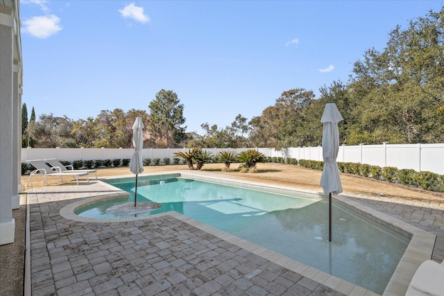 view of pool featuring a patio