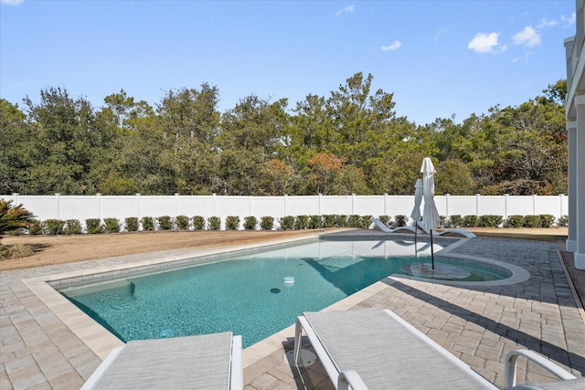 view of pool featuring a patio