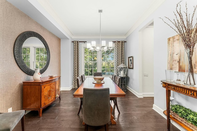 dining room with a wealth of natural light, dark wood finished floors, and crown molding