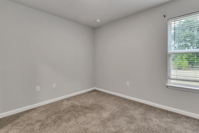 unfurnished room featuring carpet flooring