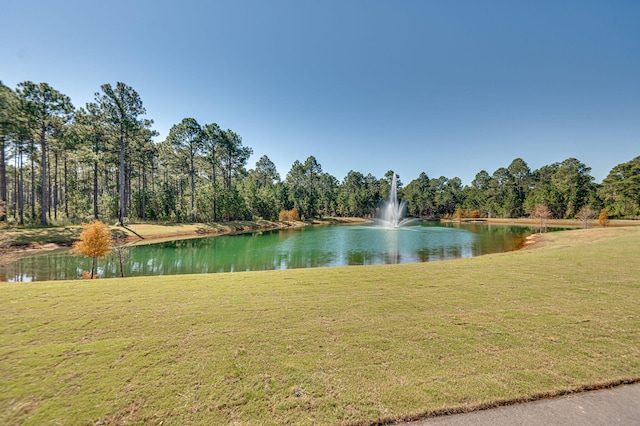 view of water feature