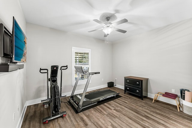 workout room featuring hardwood / wood-style flooring and ceiling fan