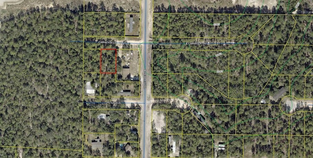 Listing photo 3 for LOT5 Carnation Ln, Defuniak Springs FL 32433