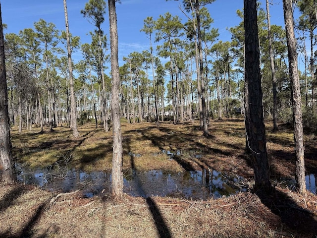 LOT5 Foxmire Farm Rd, Santa Rosa Beach FL, 32459 land for sale