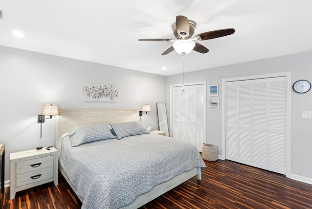 bedroom featuring multiple closets, ceiling fan, and dark hardwood / wood-style flooring