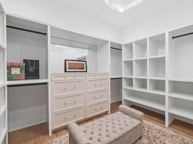 spacious closet with light hardwood / wood-style floors