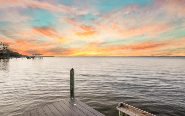 dock area featuring a water view