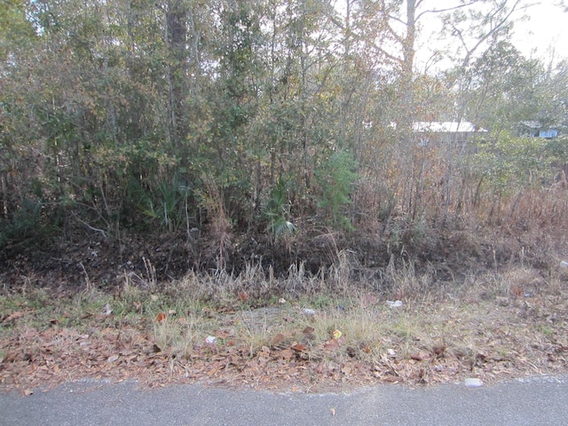 LOT4 Park Rd, Freeport FL, 32439 land for sale