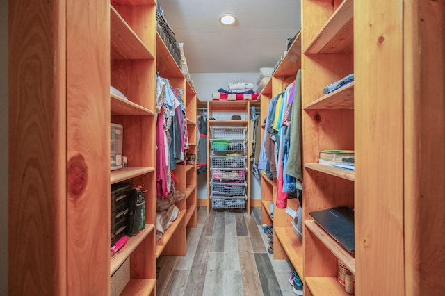 spacious closet with wood-type flooring