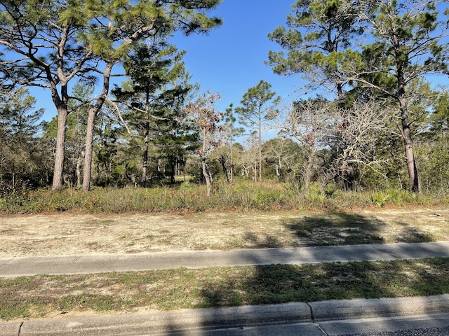 131 Laughing Gull Ln, Carrabelle FL, 32322 land for sale