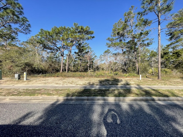 Listing photo 3 for 131 Laughing Gull Ln, Carrabelle FL 32322