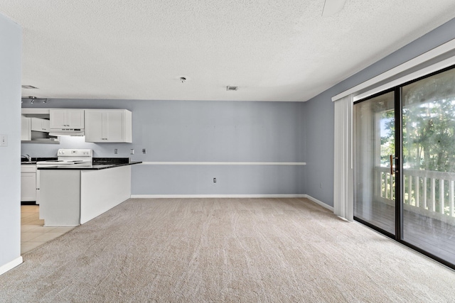 unfurnished living room featuring sink, light colored carpet, and a textured ceiling