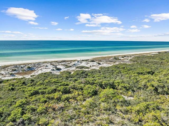 view of water feature featuring a beach view