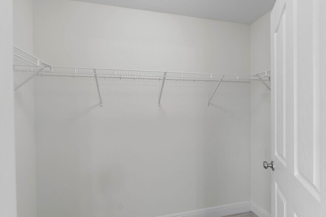 8872 White Ibis Way, Navarre, FL 32566 - view of spacious closet